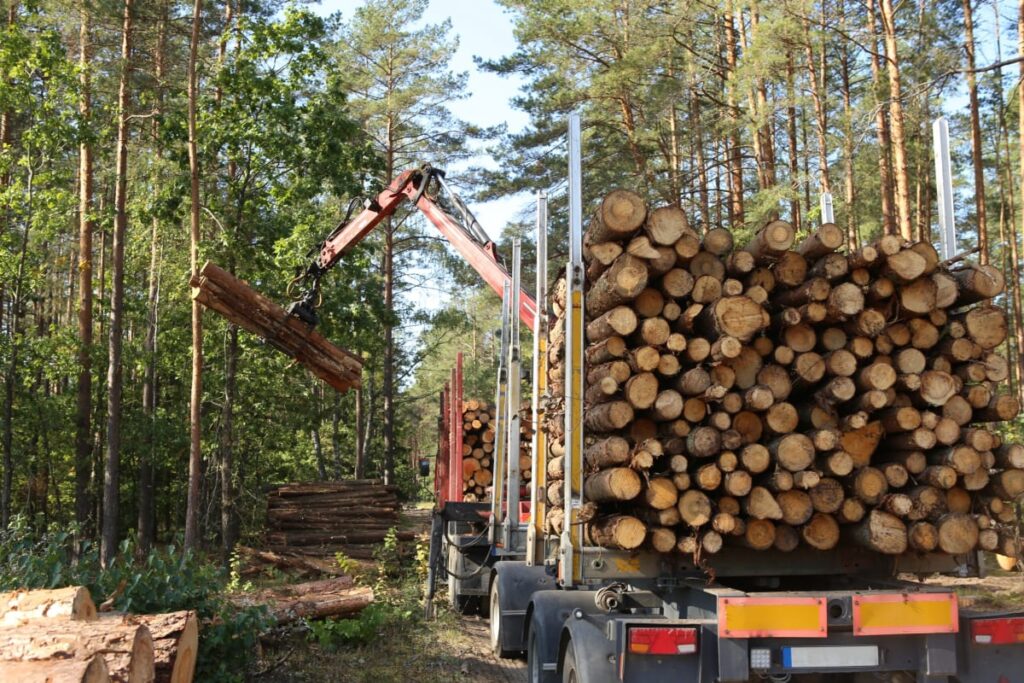 raieõiguse ostmine, metsakinnistu